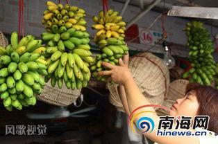 大香蕉之国产,大香蕉之国的繁荣与传奇